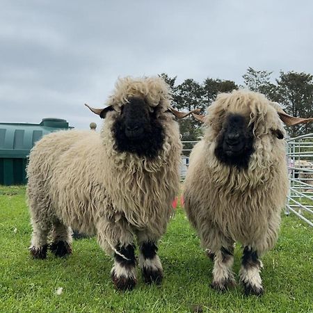 Glampods Glamping Pod - Meet Highland Cows And Sheep Elgin Villa Dış mekan fotoğraf