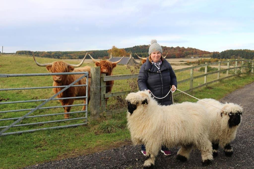 Glampods Glamping Pod - Meet Highland Cows And Sheep Elgin Villa Dış mekan fotoğraf